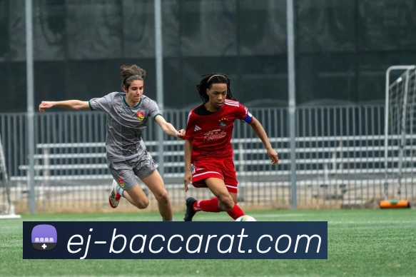 百家乐官网平台生态图