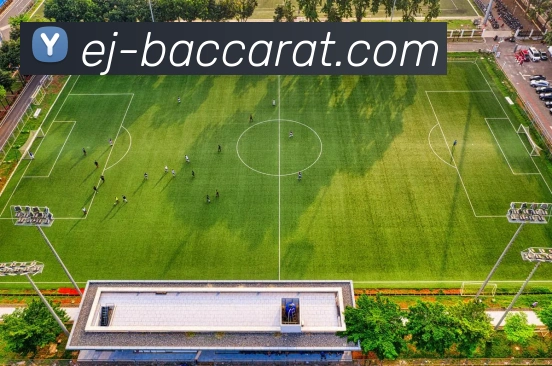 百家乐官网全站App