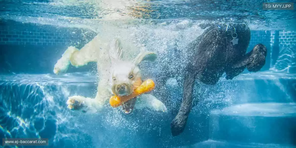 🎯 个性周边，让你的热爱独一无二！✨